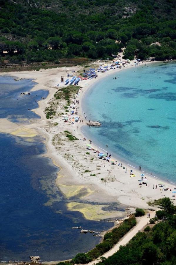Elisart Guest House Alghero Dış mekan fotoğraf