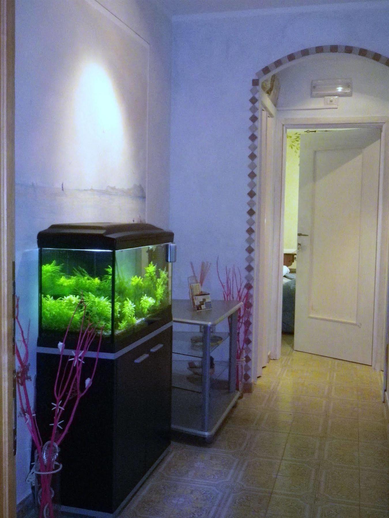 Elisart Guest House Alghero Dış mekan fotoğraf